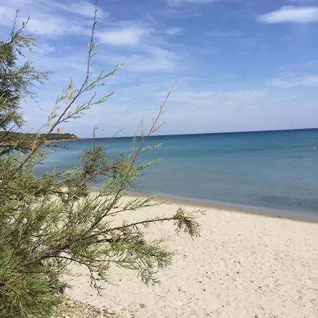 Clara * Tertenia